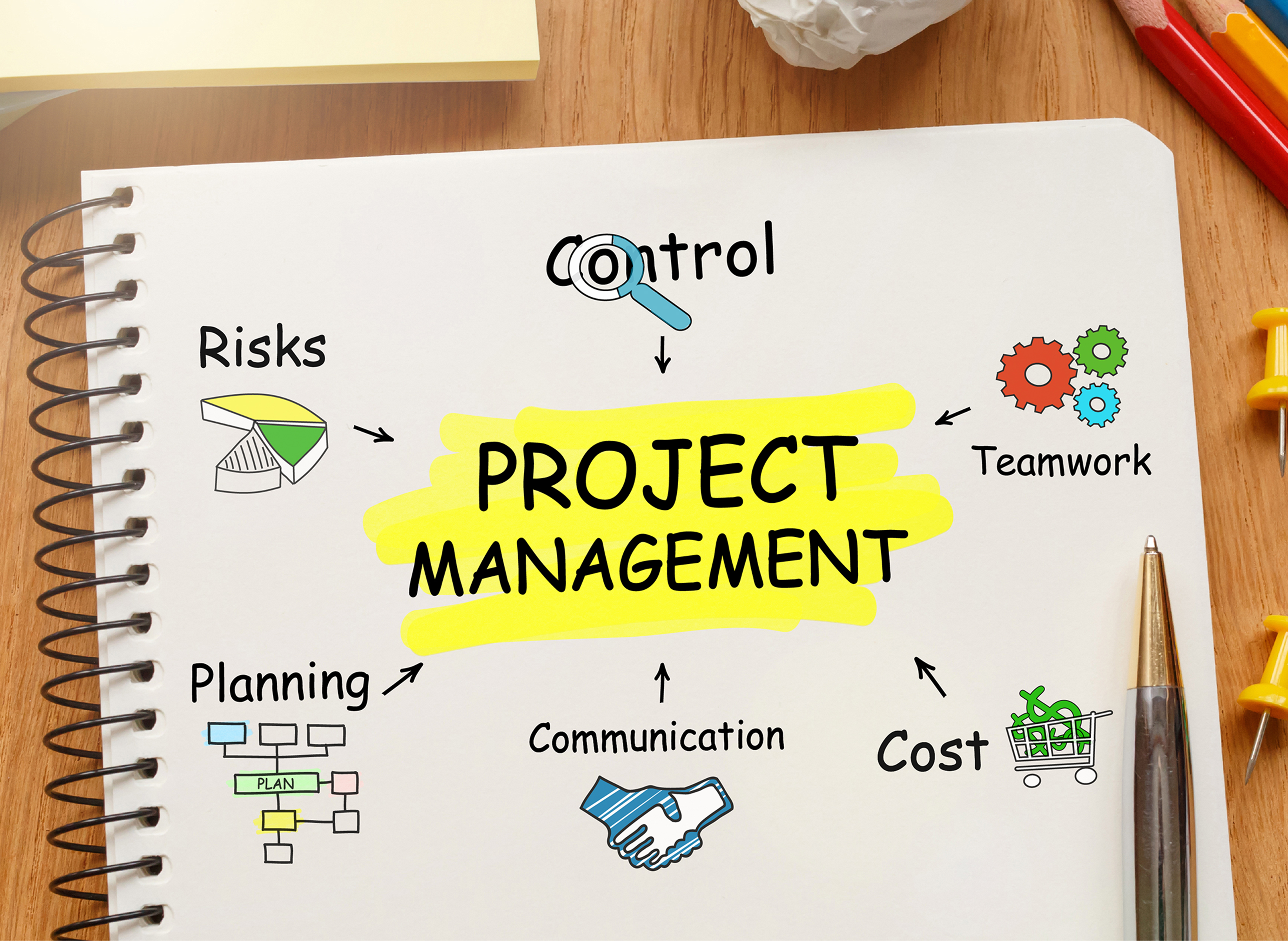 Project Management Services